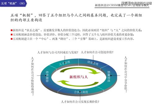 新组织设计下的CRSM模型与LWC咨询服务模式 引领信息技术咨询服务新范式