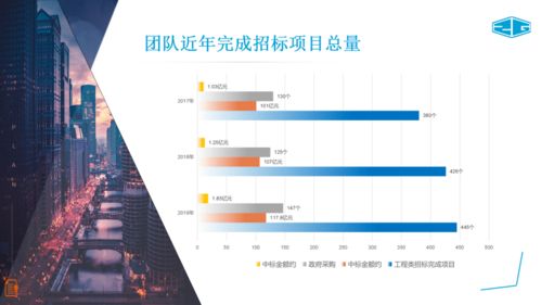 中冠咨询 全面招标代理、政府采购与信息技术咨询服务介绍